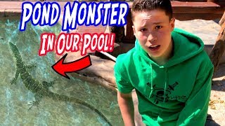 I found a pond monster in my pool [upl. by Newnorb]