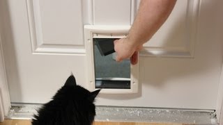 Installing a Cat Door [upl. by Camus]