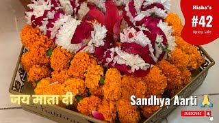 Sandhya Aarti 🙏  Mata rani se kisne kya Maga 😍 Pooja ke baad Hamlog ki Masti 🫣 [upl. by Neille]