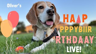 ⭐️ Olivers 2024 birthday livestream ⭐️ [upl. by Monty902]