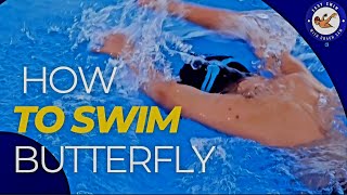 Learn to swim Butterfly  Butterfly Swimming lesson [upl. by Sonahpets]