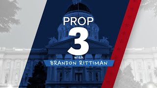 2024 Ballot Prop 3 Explained [upl. by Fleeman]