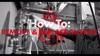 How To Remove and Replace Blower [upl. by Lesoj803]