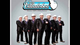 Los Villalobos  Mix de Cumbias Juventud y Experiencia Para Ti CD 2013 [upl. by Ecneret327]