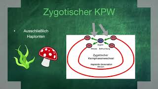 Kernphasen amp Generationswechsel  TheEasyBiology [upl. by Harim]