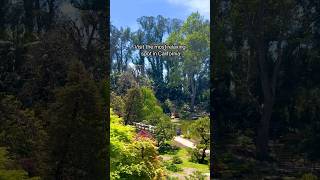 Explore Lotusland’s Lush Gardens in California shorts [upl. by Gauthier]