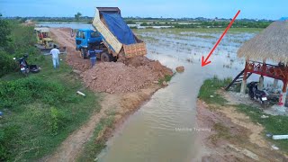 Update ProjectRebuild Old road Cross Flooded areas Use Soil Work by Dozer and Mini Dump Truck [upl. by Dnalevets134]