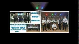 Orchestra Bravo  Orkestar Bravo live [upl. by Trevar]