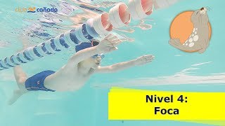 Perfecciona el estilo de CROL y DORSO en tu CLASE DE NATACIÓN Nivel FOCA [upl. by Lamek]