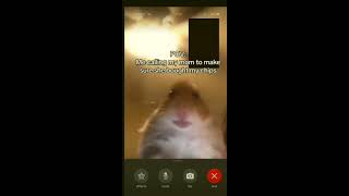 hamster calling meme [upl. by Taryne]