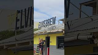 elvisbrew hartenbos sea beach [upl. by Garlan]