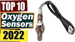 The 10 Best Oxygen Sensors in 2022 Reviews and Buying Guide [upl. by Tnahsarp]