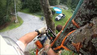 Red Maple Dismantle With Speedline [upl. by Apps]