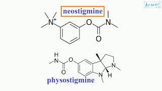 neostigmine English  Medical terminology for medical students [upl. by Plafker]