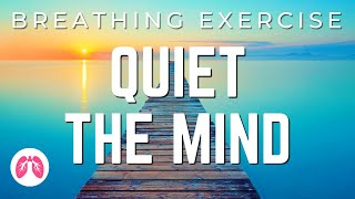 Breathing Exercises with Guided Meditation  5 Minutes  TAKE A DEEP BREATH [upl. by Eisaj]