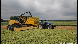 New Holland FR 780 GPS hakselen 2017  De Bruyne [upl. by Winikka]