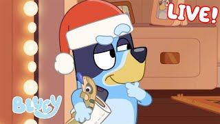 🔴LIVE Its a Bluey Christmas  40 MINUTES  Bluey [upl. by Stimson]