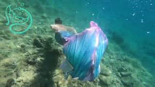 Mermaids in Croatia  trailer for MerAdria MA23 mermaid retreat [upl. by Gnoz476]