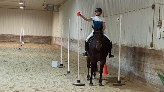 Working Equitation Ease Of Handling Level 2 Novice A [upl. by Ahsiral]