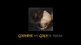 AuGhost  Goodbye My Golden Friend prod Jewelryboy [upl. by Seta]