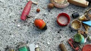 Plastic in Albatross Chicks at Midway Atoll [upl. by Hsiekal]