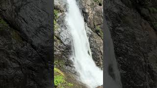 Waterfalls in courtallam [upl. by Khichabia344]