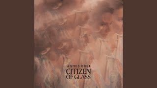 Citizen of Glass Instrumental [upl. by Manno723]