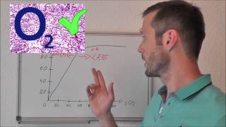 Was ist der Sauerstoffpartialdruck [upl. by Dnaltruoc400]