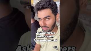 Tigers Funny Meme cricket mightytigerscricketclub cricketequipment tigersofindia cricketgear i [upl. by Madriene]