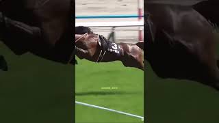 horse horseplay horsesports sporthorses equestrian horseracing horseshow edit [upl. by Geaghan]