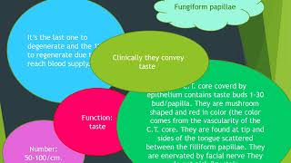 diseases of tongue [upl. by Taub]