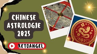 Chinese Astrologie 2025 Horoscoop en Voorspellingen voor het Jaar van de Houten Slang [upl. by Darnoc312]