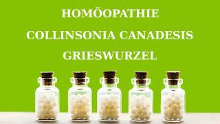 Homöopathie Collinsonia canadensis  Grieswurzel [upl. by Sholom]