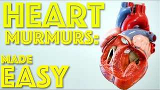 Heart Murmurs Made Easy  Aortic and Mitral Heart Murmurs explained  Cardiology  Dr Gill [upl. by Nylaret]