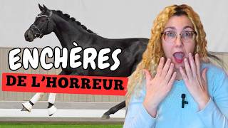 JACHÈTE UN CHEVAL PAR ERREUR 😱🔥 STORYTIME [upl. by Petie]