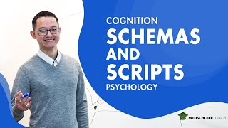 Schemas and Scripts for Cognition [upl. by Ellecrad]