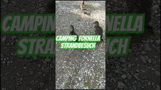 GardaseeCamping Fornella [upl. by Shakti]