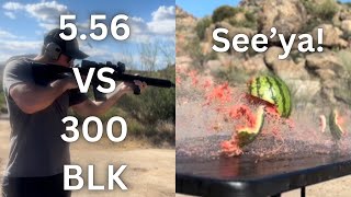 556 VS 300 Blackout  Scientific Watermelon Test… [upl. by Anaeirb565]