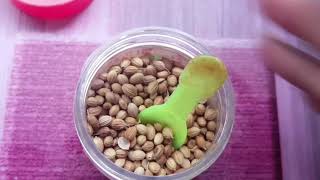 Coriander Seeds Water with gingerAyurvedadrinkEarly morningHerbal WeightLoss Drinkbest fatcutter [upl. by Vod766]