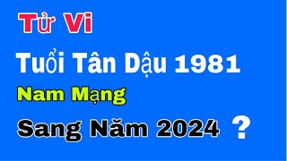 Tử vi tuổi Tân Dậu 1981 nam mạng bước sang năm 2024 sẽ như thế nào [upl. by Onfroi]