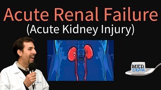 Acute Kidney Injury  Acute Renal Failure Explained Clearly  BUN Creatinine Ratio [upl. by Zizaludba]