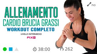 Esercizi Da Fare a Casa Allenamento Cardio Brucia Grassi Senza Salti [upl. by Derwood]