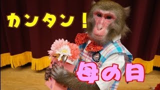 【カンタン！】サルでも作れる母の日ギフト！（72） [upl. by Megan17]