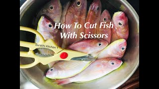 HOW TO CUT FISH WITH SCISSORS HOW TO CLEAN FISH  HOW TO CUT FISH [upl. by Eneleoj]