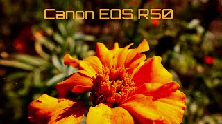 Canon EOS R50 cinematic video [upl. by Madeleine]