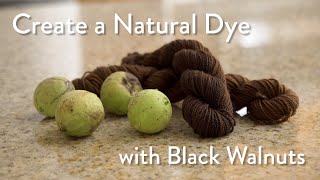 How to Naturally Dye with Black Walnuts [upl. by Moss]