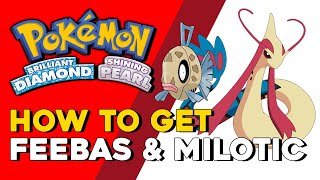 Pokemon Brilliant Diamond amp Shining Pearl How To Get Feebas amp Milotic How To Evolve Feebas BDSP [upl. by Ecirtemed]