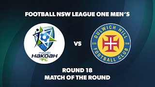 League One NSW Mens Round 18 Hakoah Sydney City East FC v Dulwich Hill FC [upl. by Neneek]