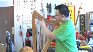 Fullsicle Harp by the Harpsicle Harp Company Review and First Impression [upl. by Brenden]