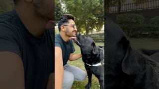 Lucky Ke Sath Outing doglover lucky [upl. by Ko]